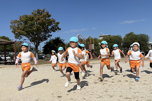 11月の活動イベント